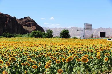 Bloober Team首席执行官：对科乐美未来充满信心