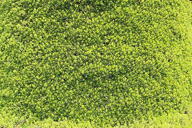 玩家验证《大乱斗64》延迟式防玩盗版措施 理念相当清奇